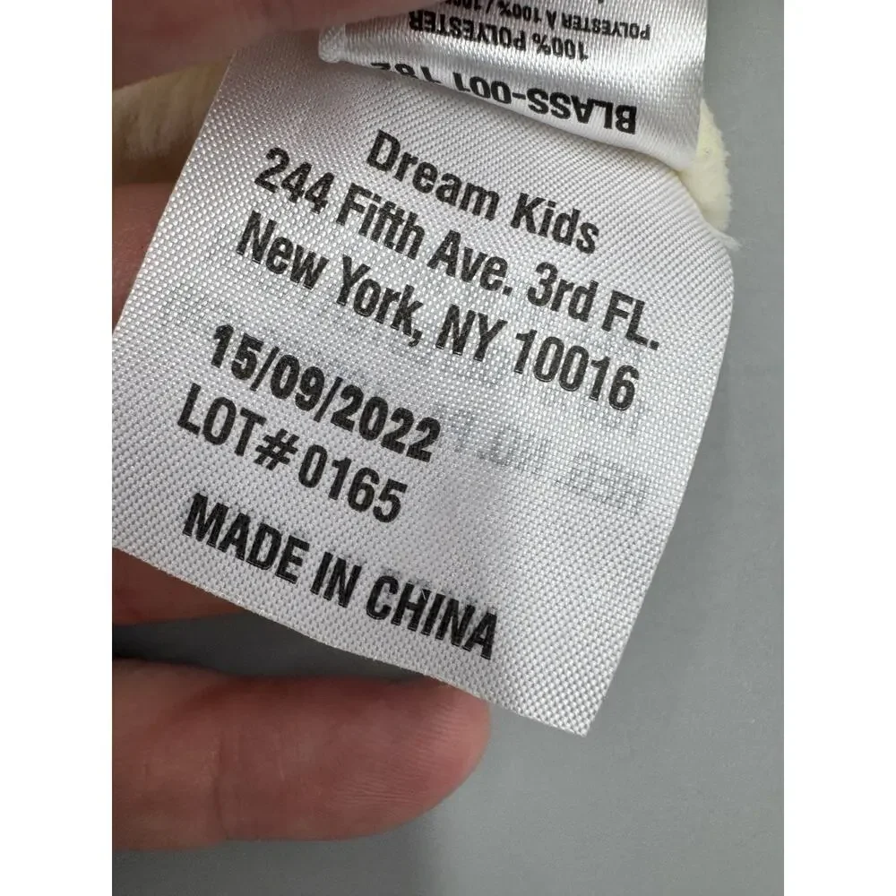 Dream Kids as shown